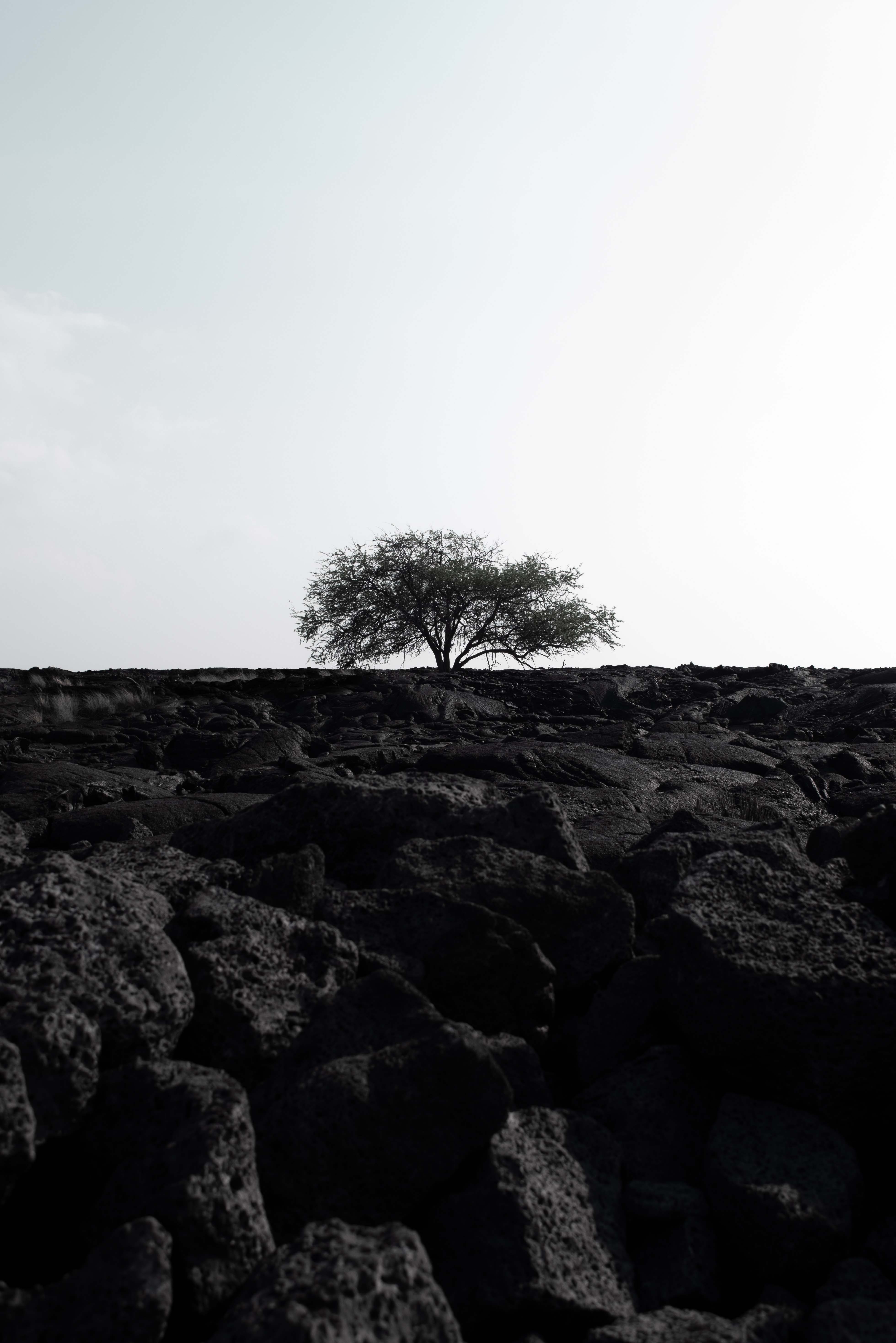 The tide surging over the basalt rock.