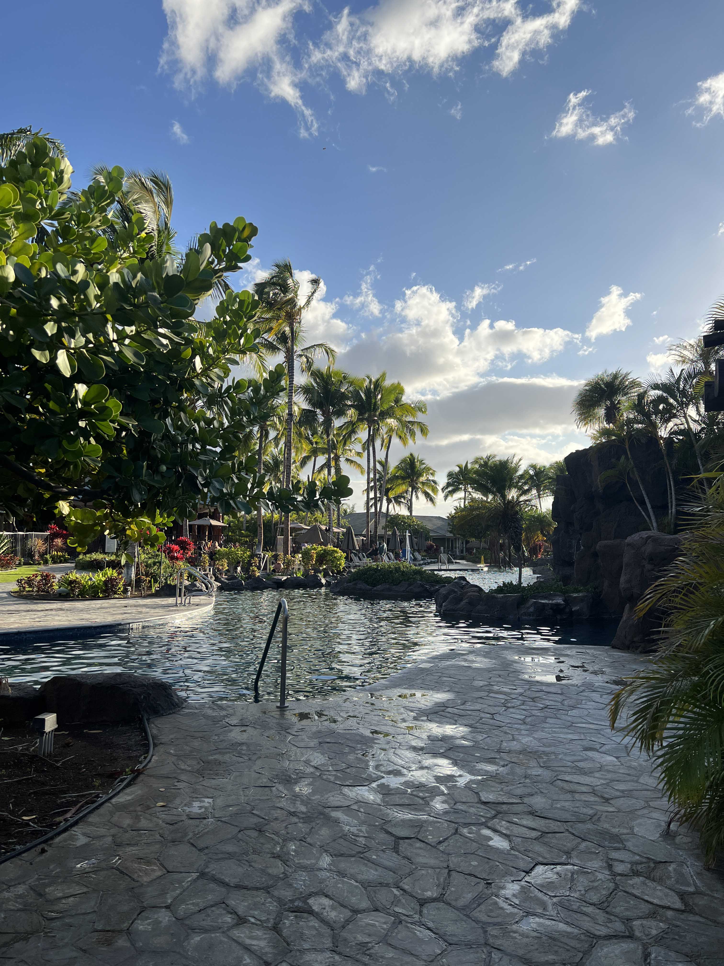 A pool surrounded by palm trees.