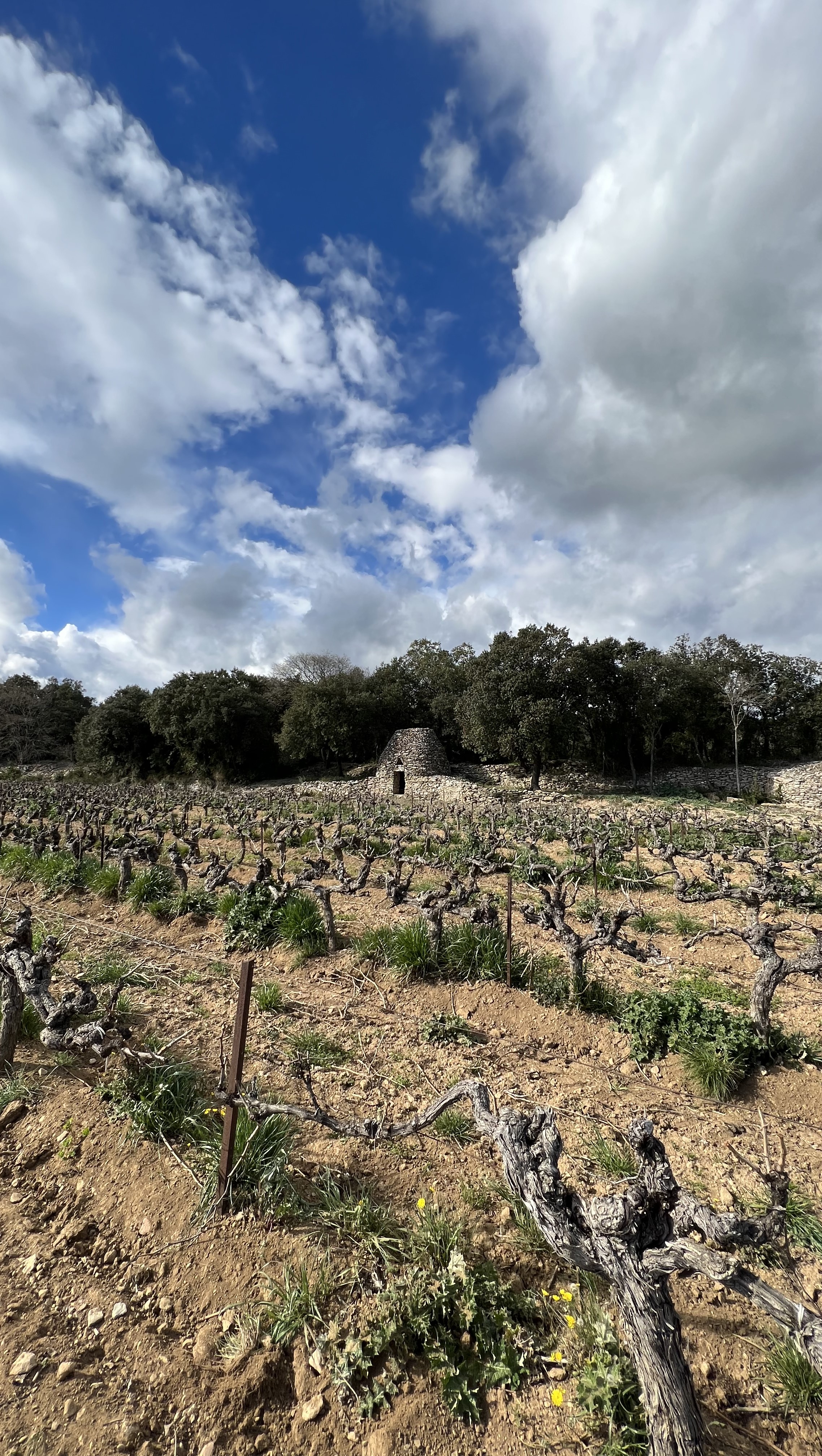 A small stone structure used by farmers for storage.