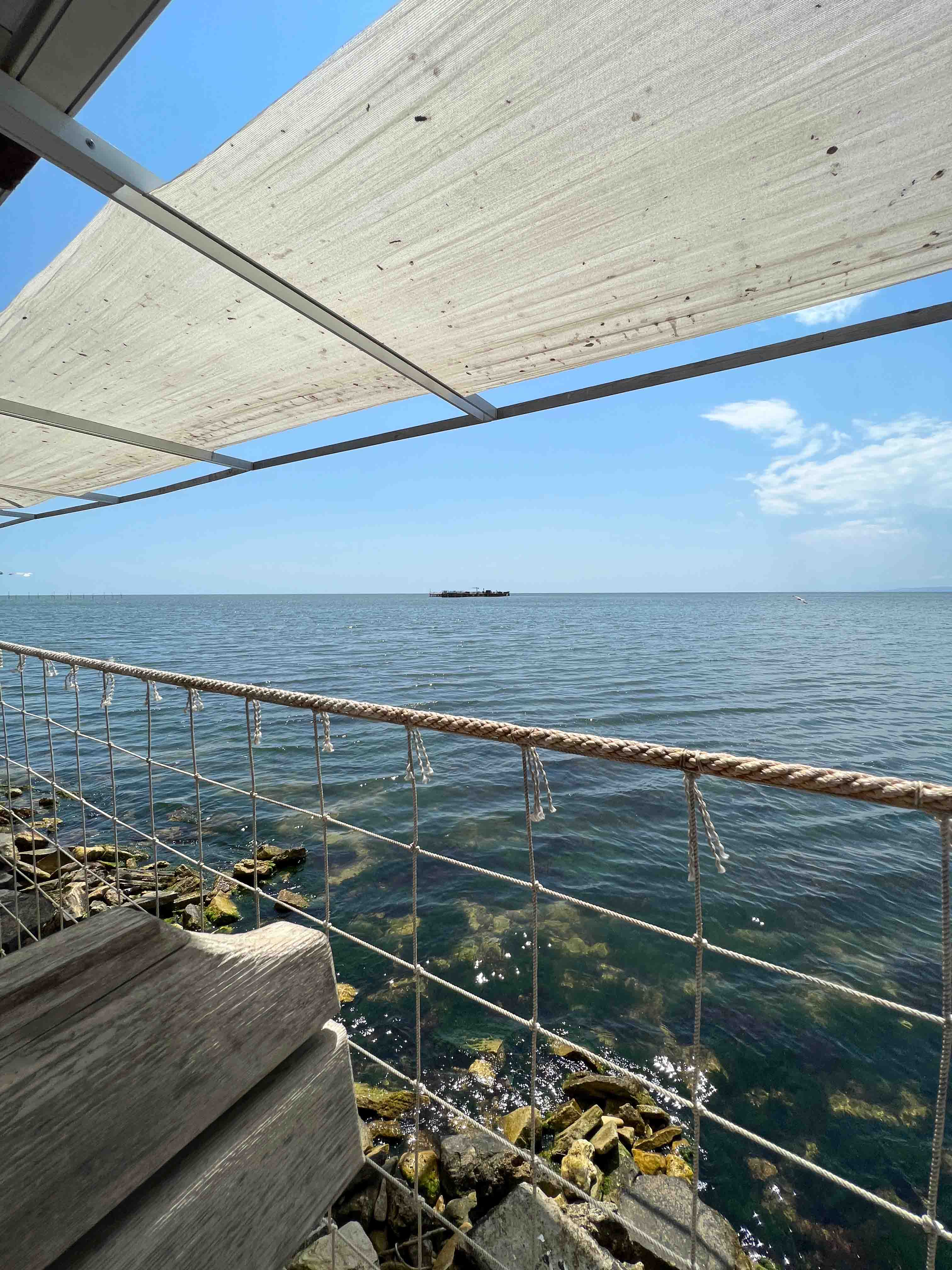View of the mussel farm far out in the water.