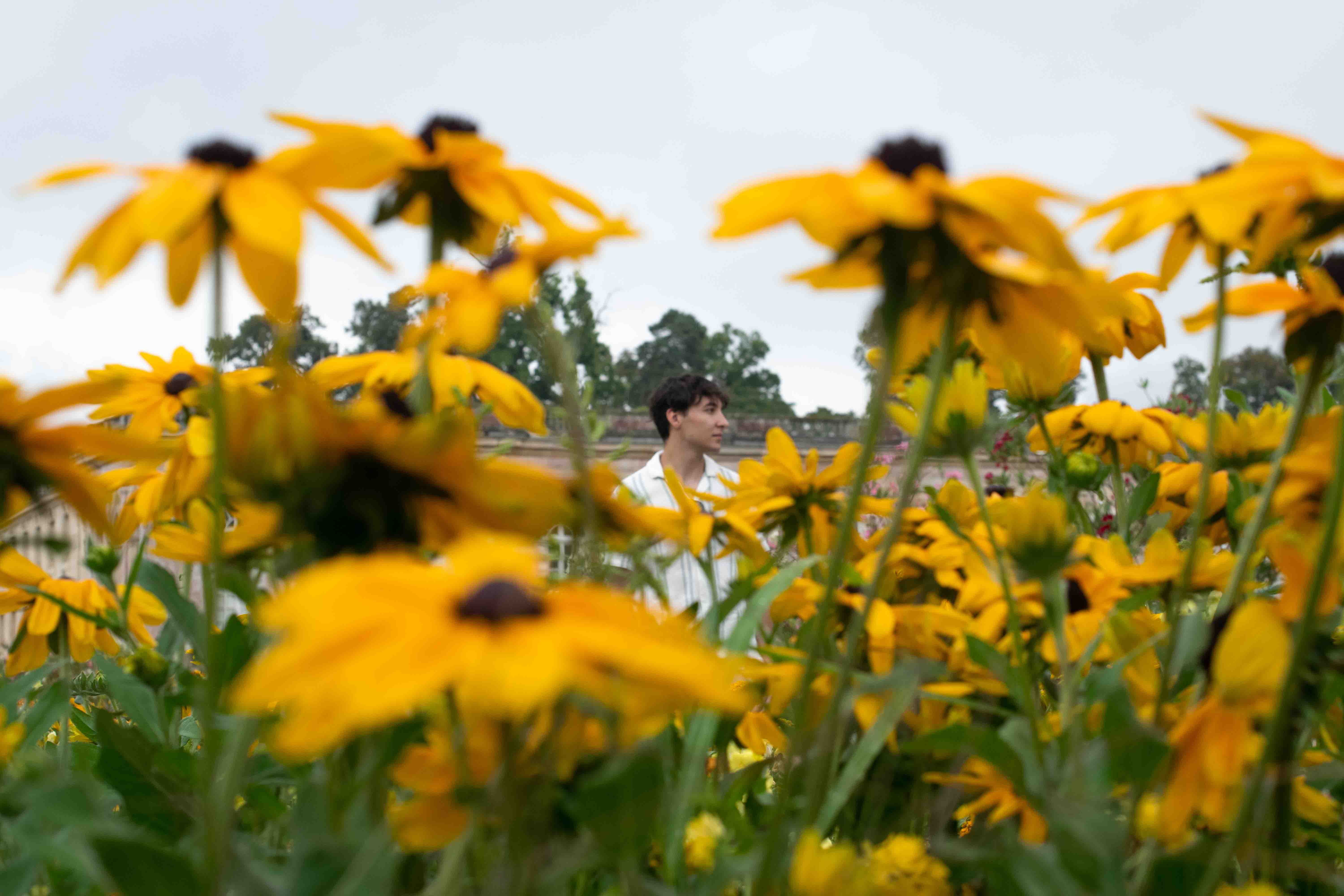 Boyan standing behind some yellow flowers that are out of focus.